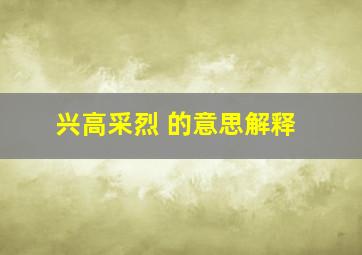 兴高采烈 的意思解释